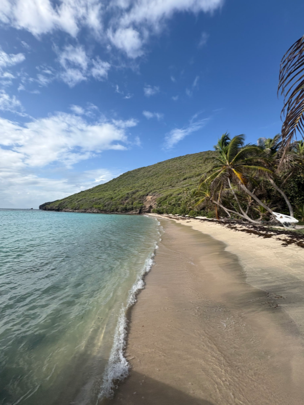 Screenshot 2026-02-13 181712